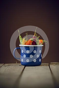 Chilly peppers in a blue pot