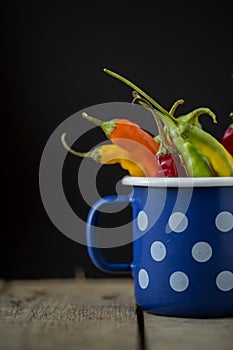 Chilly peppers in a blue pot