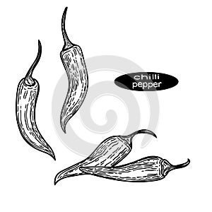 Chilly peppers illustration