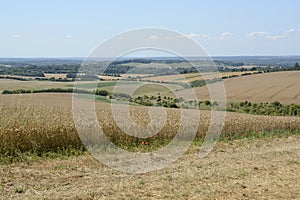 Chilton Down near Winchester. England photo