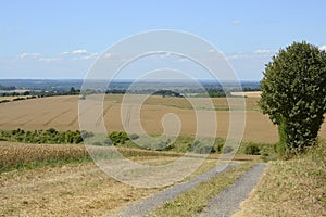 Chilton Down near Winchester. England
