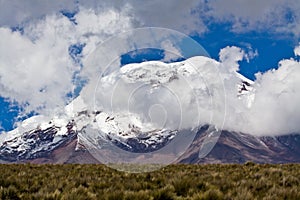 Chimborazo volcano in andean Ecuador