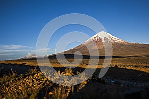 Chimborazo volcano at sunset.