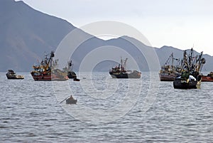 Chimbote, Peru - Trawlers and boats moored at Chimbote, Peru with white mountain in background