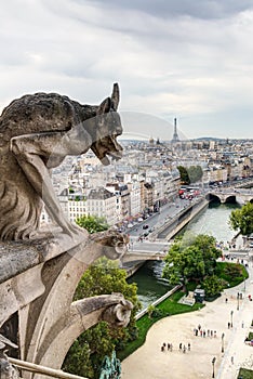 Chimera (gargoyle) of the Cathedral of Notre Dame de Paris