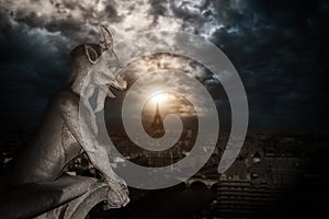 Chimera (gargoyle) of the Cathedral of Notre Dame de Paris