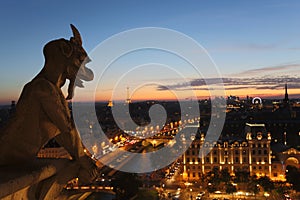 Chimeras of Notre Dame