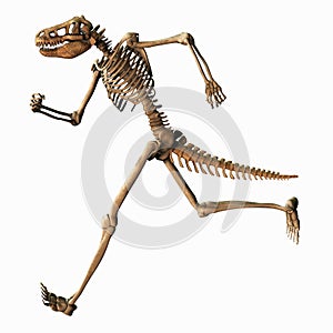 Chimeric Skeleton photo