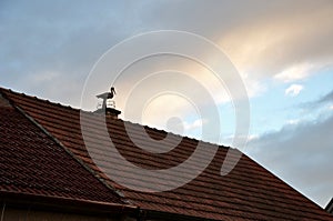 On the chimney above the roof of burnt tiles is a concrete casting stork with a large beak. model bird delights children walking a