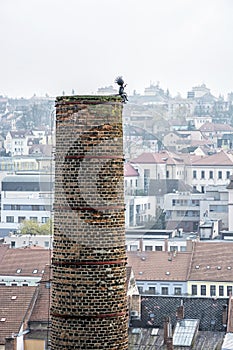 Chimney with funny figure in center of Trebic, Czech