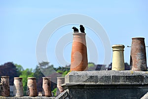 Chimney Pots