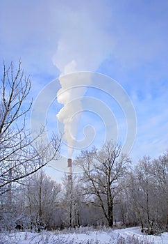 Chimney smoke in forest