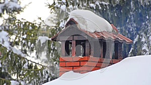 Chimney smoke among snow covered pine