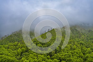 Chimney Tops in the Great Smoky Mountains National Park