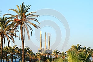 Chimneys of The BesÃ²s combined cycle power plant behind palmtrees