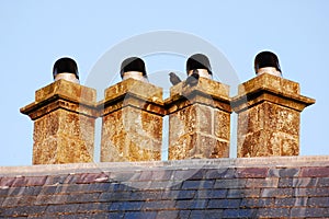 Chimneys and crows