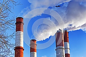 Chimneys with steam production of a thermal power station