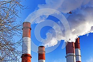 Chimneys with steam production of a thermal power station