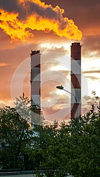 chimneys of a thermal power plant against the background of a red sunset. color nature