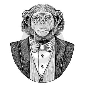 Chimpanzee Monkey Hipster animal Hand drawn illustration for tattoo, emblem, badge, logo, patch, t-shirt