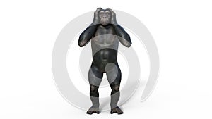 Chimpanzee monkey, primate ape covering ears, wild animal isolated on white background, 3D render photo