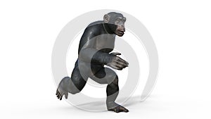 Chimpanzee monkey, primate ape running, wild animal isolated on white background, 3D render