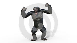 Chimpanzee monkey, primate ape screaming, wild animal isolated on white background, 3D render photo