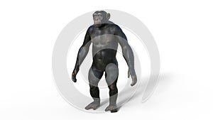 Chimpanzee monkey, primate ape standing, wild animal isolated on white background, 3D render