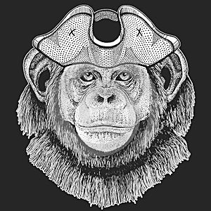 Chimpanzee, portrait. Pirate cocked hat. Sailor. Monkey face. Ape head.