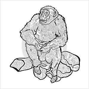 Chimpanzee sitting on rock, drawing with pattern for coloring