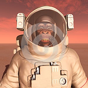 Chimpanzee in space suit on Mars