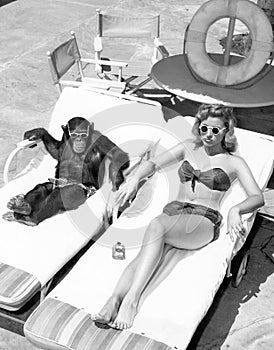 Chimpanzee and a woman sunbathing photo