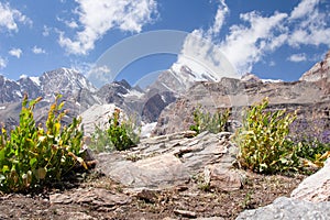 Chimtarga peak in Fann mountains, Tajikistan. Pamir-Alai mountain range on sunny summer day. Hiking in mountains. Nature landscape