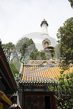 China Asia, Beijing, Beihai Park, the White Pagoda