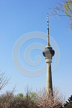 China Central Television (CCTV) Tower