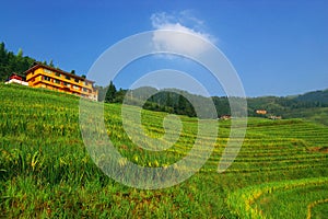 China countryside field landscape