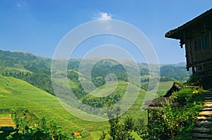 China countryside field landscape