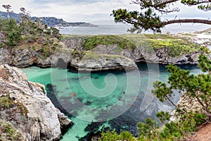 Point Lobos State Natural Reserve photo