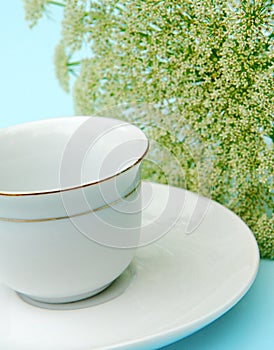 China cup and saucer with gold band