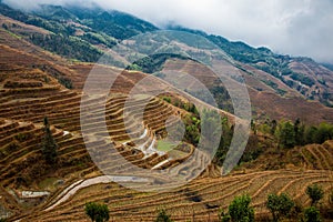 China Dazhai rice terraces in cloudy weather