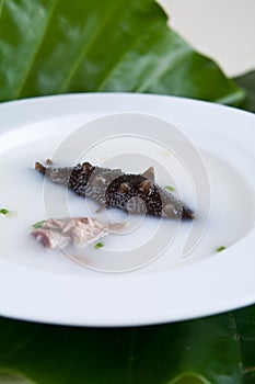China delicious food--sea slug and chicken soup
