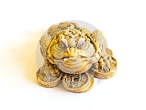 China Golden frog with coins isolated on white