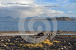 China. Great lakes of Tibet. Lake Teri Tashi Namtso in summer day