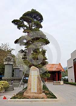 China Greater Bay Buddhism Buddhist Buddha Chinese Temple Religious Architecture Zhuhai Xiangzhou Putuo Temple Facade Landmark