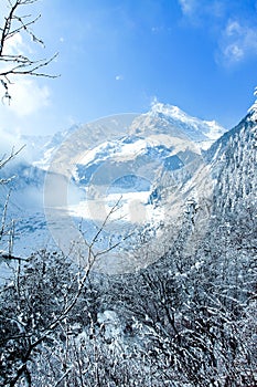 China Hailuogou Glacier