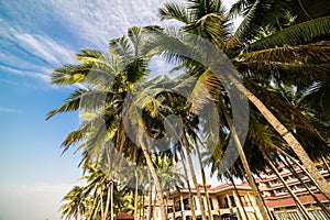 China Hainan seaside scenery