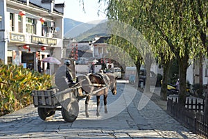 China Hong Cun Quaint rustic transportation