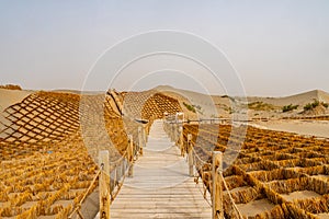 China Hotan Rawak Stupa 143