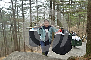 Huangshan Coolie