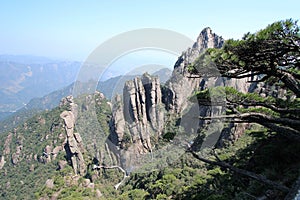 Mountain, mountainous, landforms, rock, wilderness, tree, nature, reserve, escarpment, mount, scenery, national, park, cliff, sky, photo